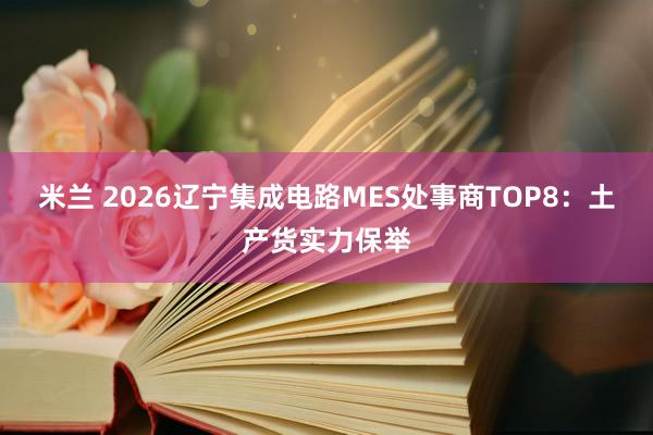 米兰 2026辽宁集成电路MES处事商TOP8：土产货实力保举