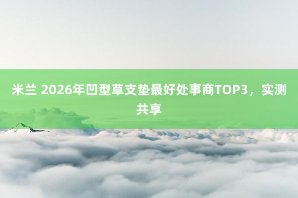 米兰 2026年凹型草支垫最好处事商TOP3，实测共享