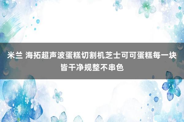 米兰 海拓超声波蛋糕切割机芝士可可蛋糕每一块皆干净规整不串色