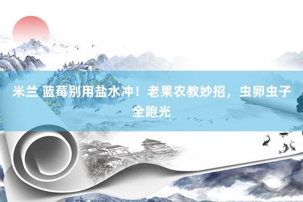 米兰 蓝莓别用盐水冲！老果农教妙招，虫卵虫子全跑光