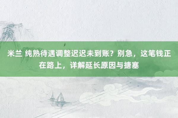 米兰 纯熟待遇调整迟迟未到账？别急，这笔钱正在路上，详解延长原因与搪塞