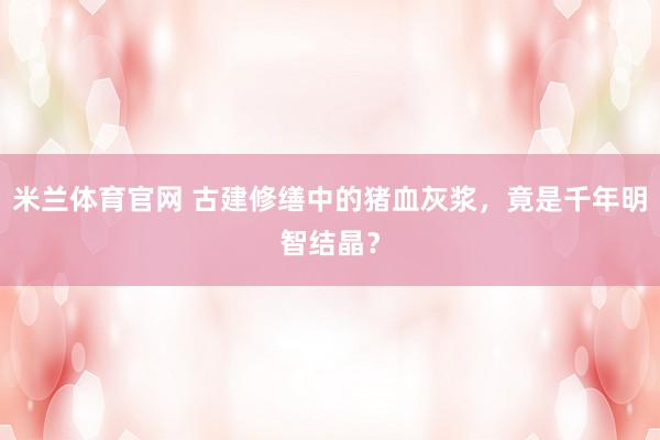 米兰体育官网 古建修缮中的猪血灰浆，竟是千年明智结晶？