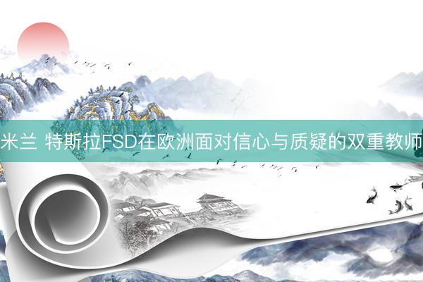米兰 特斯拉FSD在欧洲面对信心与质疑的双重教师