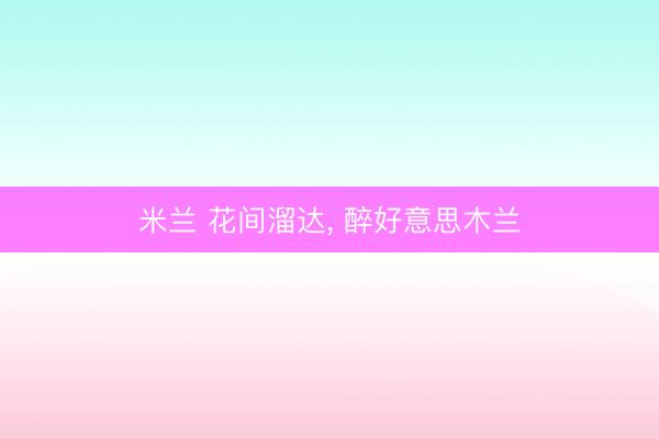 米兰 花间溜达， 醉好意思木兰